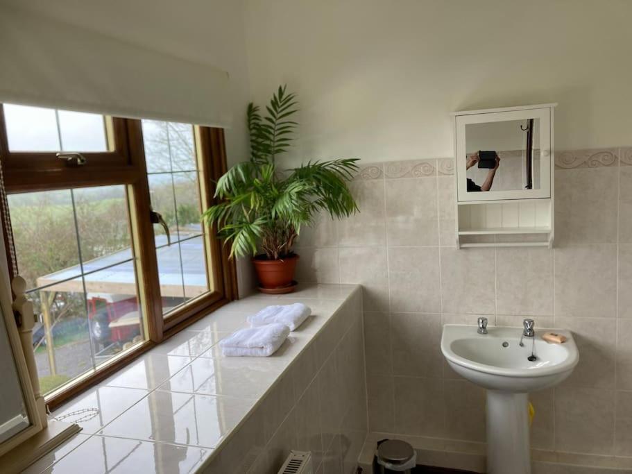 Bryntirion Farmhouse Rooms Llanfair Caereinion Esterno foto